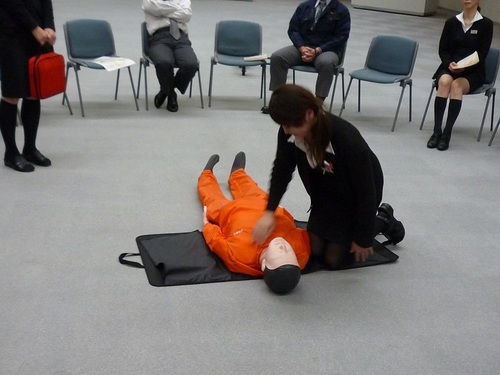 P1070469.jpg