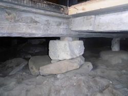 CIMG2974.JPG