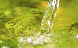 puwater-7.jpg