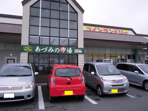パラオ2017.jpg
