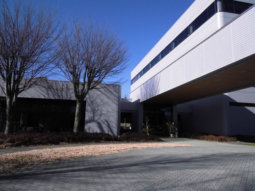 CIMG6287.JPG