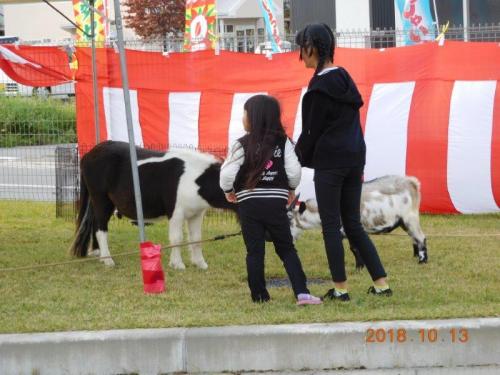 1141　佐久平2018.jpg