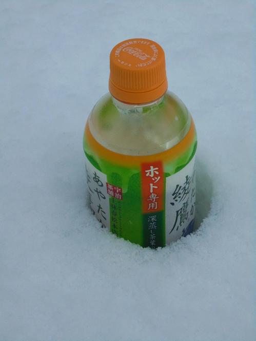 積雪 2019.jpg