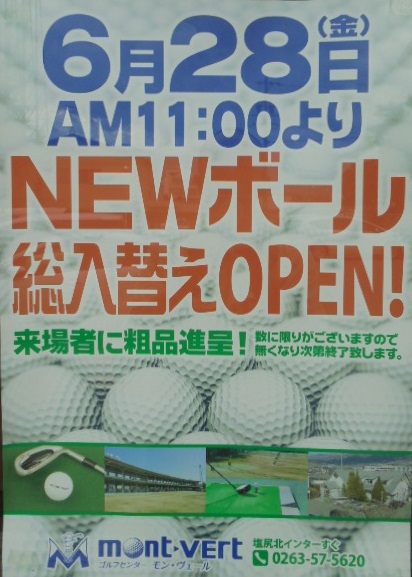 ポスター 2019ボール.jpg
